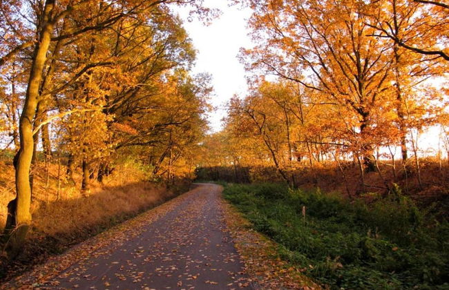 Ferienhaus in Vogtland - Foto 20