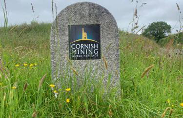 Field View - Foto 37