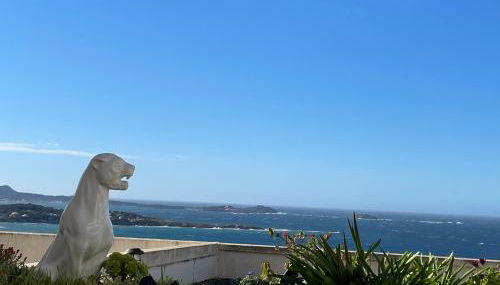 VUE EPOUSTOUFLANTE SUR BANDOL & LA MER 2 pièces, piscine tout confort 4 étoiles, très calme, terrasse spacieuse sans vis à vis, parking privé résidence standing - Foto 3
