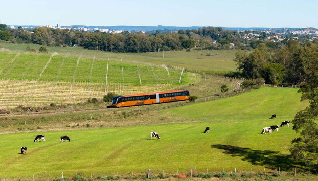 Paseo en el Tren de Pampa + Visita a la bodega Almadén - Foto 5