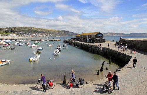 18th Century Thatched Cottage Parking & Garden - Foto 49
