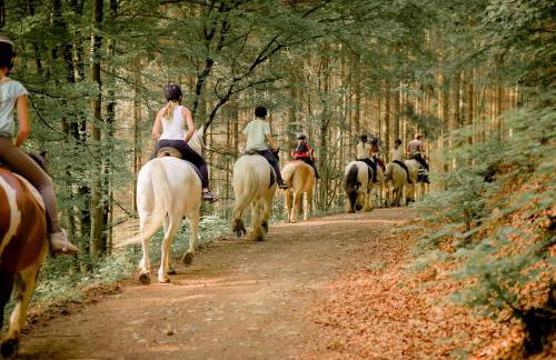 Nengshof - Haus Königskerze - Foto 60