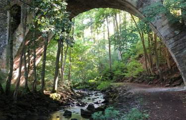 Casita - Sterneferienhaus mit Garten, Sauna und Wallbox - Foto 50
