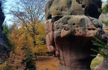 Auf-der-Muehlwiese - Foto 38