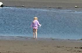 Snowdonia Mawddach escape - Foto 64