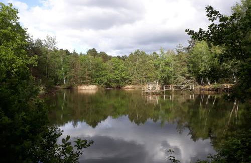 Proche le Mans, Parigné l'Evêque,maison forestière, accueil chevaux possible 11 pers - Foto 15
