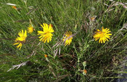 Ferienwohnung Gipfelstürmer - Foto 32