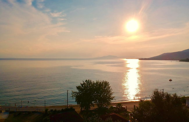 Pandora Studios - Foto 22