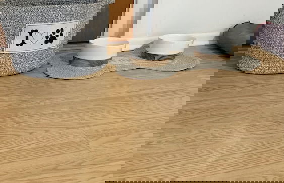 Poolside Retreat Boynton Beach - Foto 16