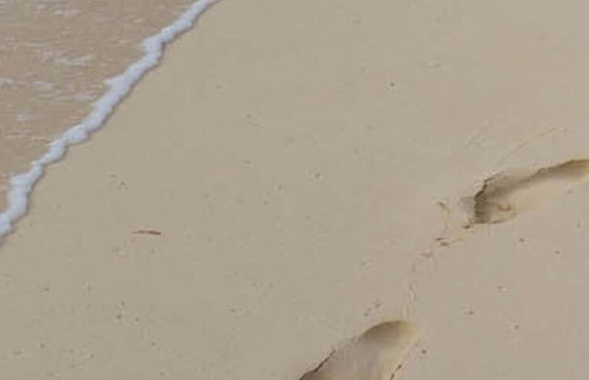 Juchmann Modern Retreat - Foto 15