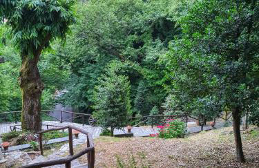 The Mushroom Cottage - Foto 27