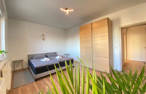 HOCHWERTIGE Ferienwohnung mit 7qm Balkon, Netflix, Kaffeeautomat, RainShower Bad - Foto 19