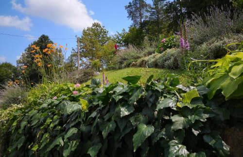 Holiday House Kod Ajke - Foto 41