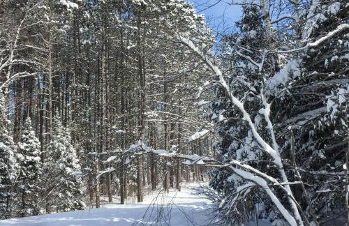 Camp Farrell - Foto 50