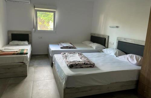 Prionas Studios - Foto 29