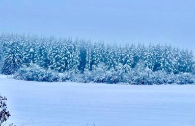 Ferienwohnungen Ferienhaus Nähe Winterberg Upland - Foto 8