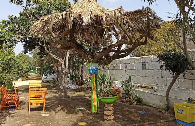 Zagara di Sicilia - Foto 61