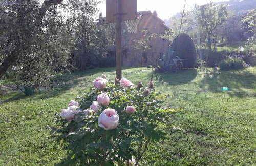 Podere La Vigna Locazione Turistica - Photo 31