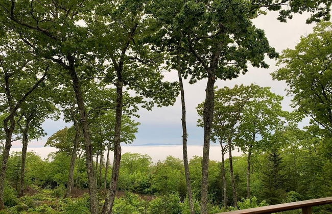 Simplify - New Offering 2023! - Foto 26