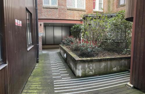 Escalille le Royale - Foto 5