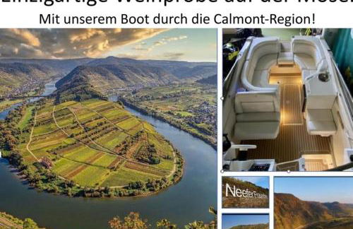 Weingut Schumacher - mit privatem Saunabereich - Foto 61