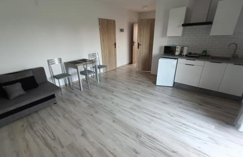 Apartamenty Kwiat Jabłoni - Foto 4