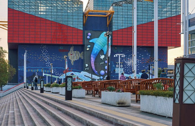 KONJAKUSO Osaka Tempozan KANOH SHOHAKU - Foto 49