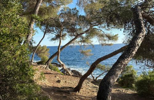 Saint Jean Cap Ferrat grand Studio avec terrasse - Foto 24