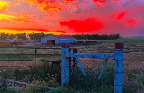 Cozy and Authentic Tipi Rental on Working Horse Ranch near Denver, Colorado - Foto 16