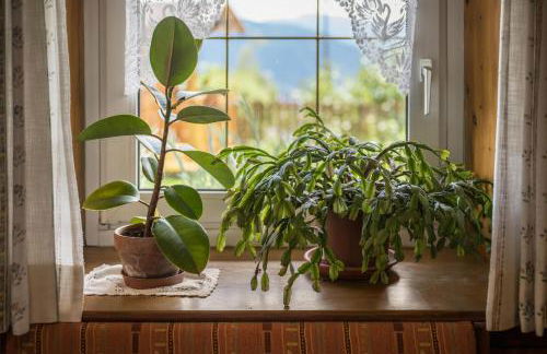 Haus Adler - Foto 15