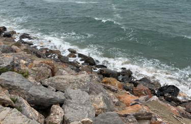 FRONT DE MER - T3 LEUCATE PLAGE - Foto 4