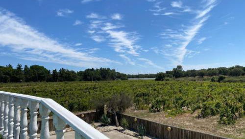 Adega Monte Maneta - Foto 5