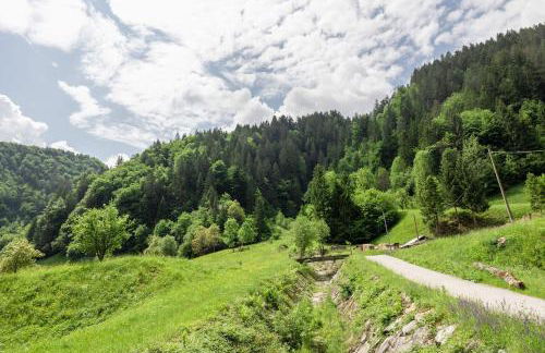 La Casa di Luisa, Un tuffo nel verde! - Foto 43