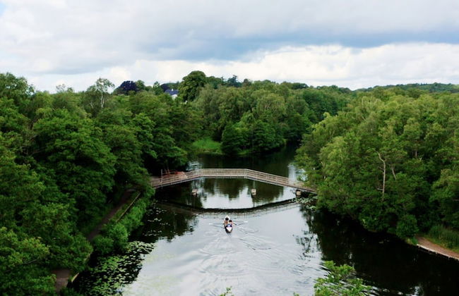 The Forest apartments by Daniel&Jacob’s - Photo 78