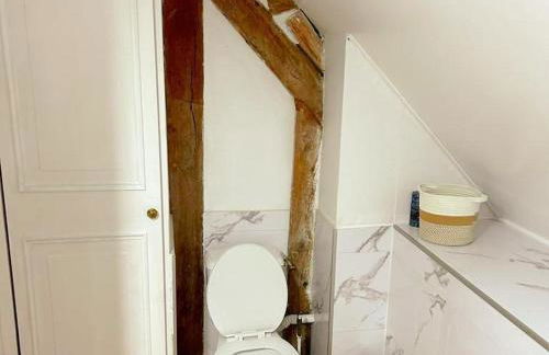 Gîte de charme avec piscine, animaux acceptés, idéal pour familles - FR-1-491-414 - Foto 15