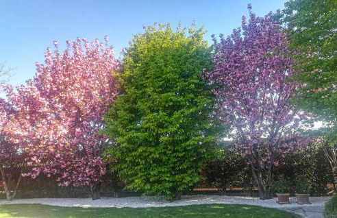 Cozy Home In Fanzolo Di Vedelago - Foto 40