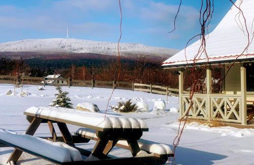 Bliżej Ślęży Domki pod Ślężą - Photo 18