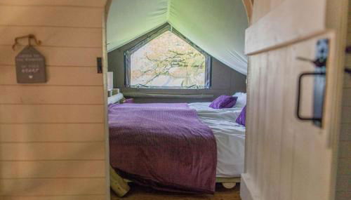 Squirrel Lodge - Foto 5