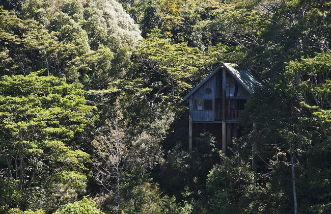 Rose Gums Wilderness Retreat - Foto 32