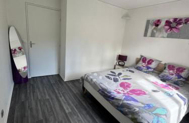 Stelorevan - Foto 11