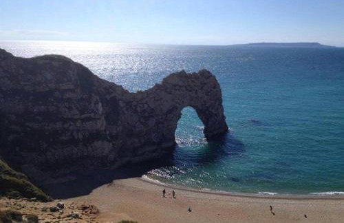 Little Ivy - Foto 16