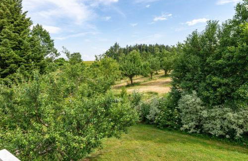 Beutenmühle Straussenfarm Dach - Photo 32