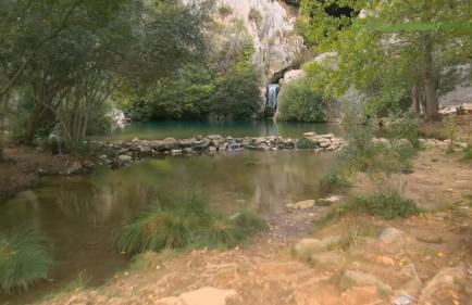 Casa Rural las Rosas de Benaojan - Photo 74