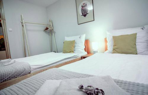 Chatka Czarny Bocian w Podgórzynie - Foto 55