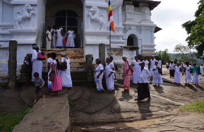 Captain's Bungalow - Foto 7