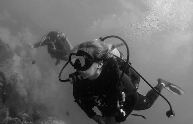 Ixtapa Zihuatanejo Beginner Scuba Diving Lesson - Photo 3