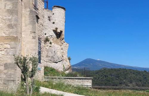 Maison sur la colline du Barroux - Foto 60