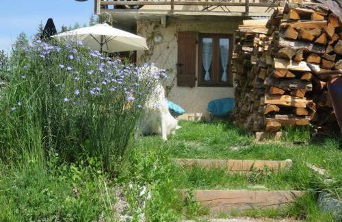 Studio en rez de chaussée, avec jardin partagé. - Foto 25