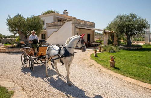 WePuglia - TERRATERRA - Masseria Minunni - Photo 37