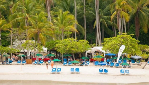 Excursion sur l'Île de la Tortue - Photo 2, Une plage de la Tortue
